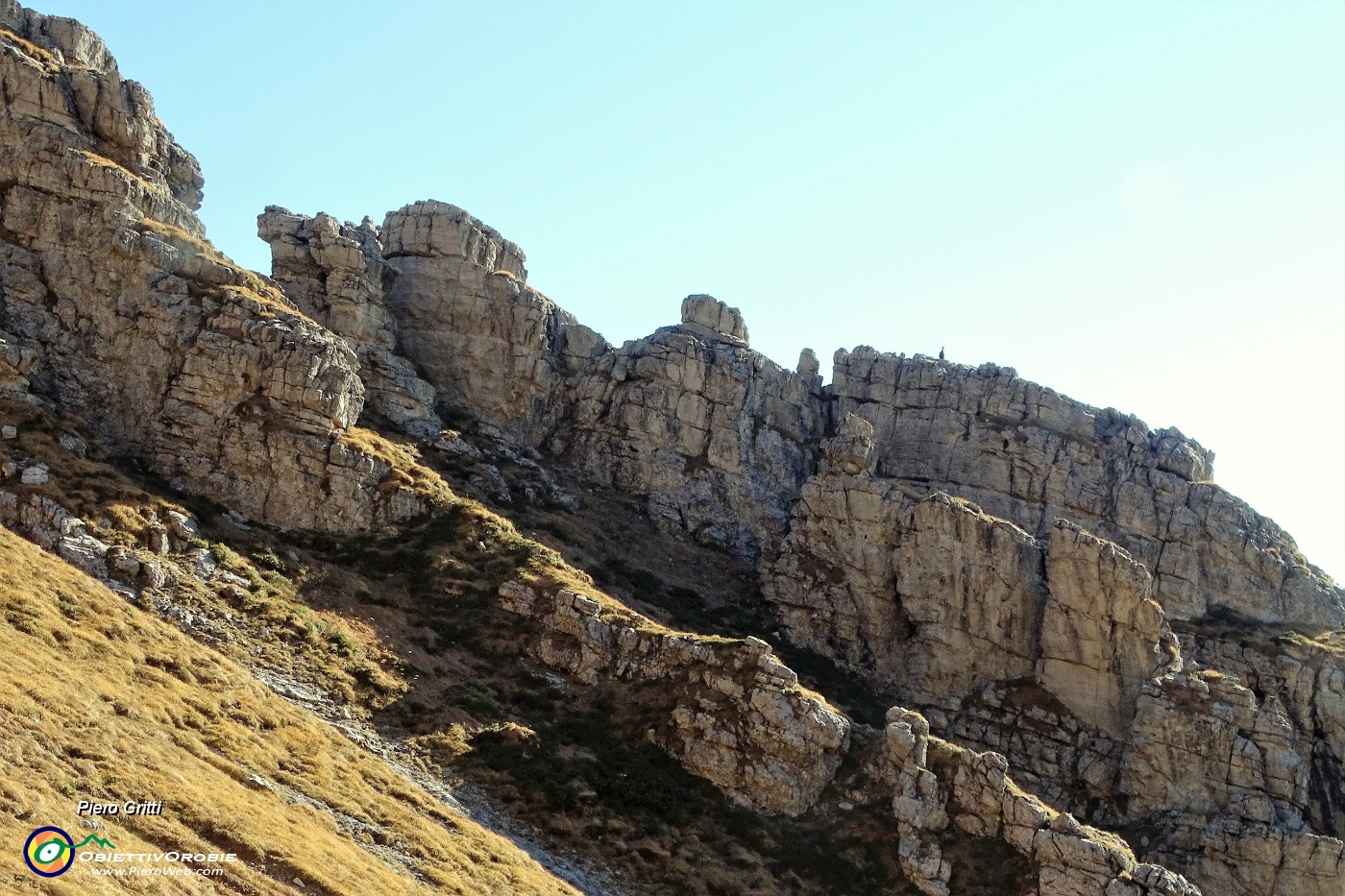 26 Un camoscio di vedetta sui contrafforti rocciosi del Monte Arale.JPG